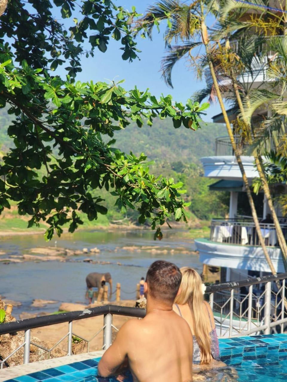 Peacock Village Pinnawala - Offer Alert! Elephant Welfare Program المظهر الخارجي الصورة